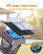 Solar Pathway Lights 6-Pack, Yard LED