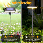Solar Yard Path Lights, IP65 Waterproof
