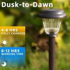Solar Driveway Path Lights 8-Pack, Waterproof