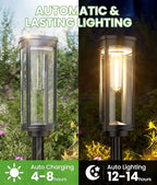 2-Pack Solar Path Lights, Outdoor Walkway LED