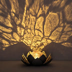 Solar Landscape Lights for Walkway