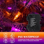 2-Pack Halloween String Lights, 17ft 100 LED Waterproof Twinkle Lights