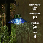 Solar Landscape Lights for Driveway