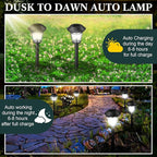 White Solar Pathway Lights 20-Pack, Walkway LED