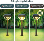 Warm White Solar Pathway Lights 8-Pack, Driveway LED