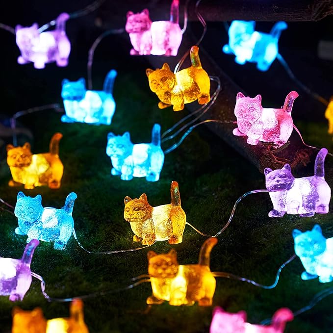 Christmas Backyard String Lights, 10ft 30 LED Waterproof