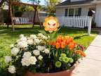 Solar Pathway Lights, Walkway LED