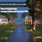 Solar Pathway Lights, Garden LED