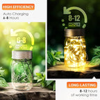 12-Pack Outdoor String Lights, Waterproof LED