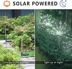 Cool White Solar Pathway Lights, Garden LED