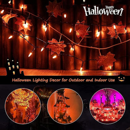 Christmas Backyard String Lights 2-Pack, 50 LED Waterproof