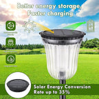 6-Pack Solar Landscape Lights for Driveway