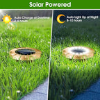 8-Pack Solar Ground Disk Lights, White Waterproof LED