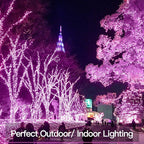 Yard String Lights, 66ft Weatherproof LED