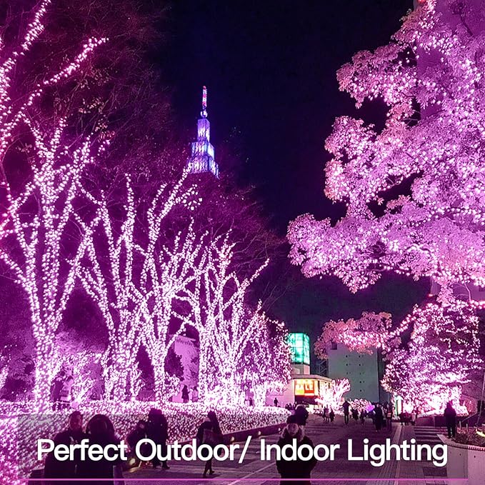 Yard String Lights, 66ft Weatherproof LED