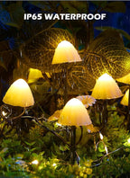 Backyard String Lights, 8ft Weatherproof LED