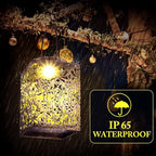 Rose Solar Lantern Set 2-Pack, Charming Porch Lighting