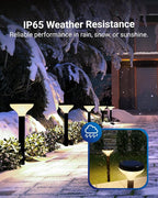 Solar Walkway Path Lights 6-Pack, Waterproof