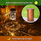 Solar Dragonfly Lanterns 2-Pack, Backyard Hanging LED Decor