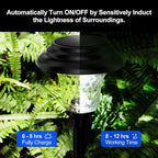 Cool White Solar Pathway Lights 8-Pack, Walkway LED