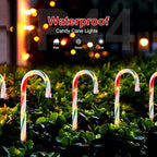 Solar Garden Path Lights, Waterproof