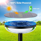 6-Pack Solar Pathway Lights, Waterproof LED Driveway Lights
