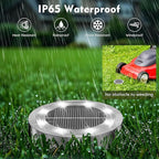 12-Pack Cold White In-Ground Solar Lights, Flat LED Garden