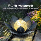 Solar Garden Path Lights, Waterproof