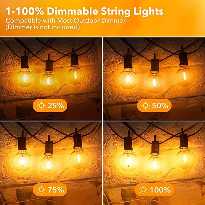 100ft Outdoor Edison String Lights, Weatherproof