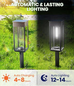Solar Driveway Path Lights 4-Pack, IP65 Waterproof