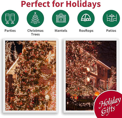 LAMPHOME 100 Count Red Clear Valentine Lights, Connectable 20ft Valentine Room Lights, Plug in Christmas String Light Indoor Outdoor for Christmas Bedroom Valentines Party Galentine's Day Decoration