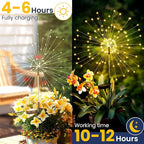 Solar Yard Path Lights 4-Pack, Waterproof