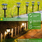 6-Pack Solar Landscape Lights for Yard