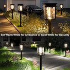 Cool White Solar Pathway Lights 6-Pack, Garden LED