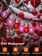 Outdoor String Lights, 25ft Red Waterproof LED