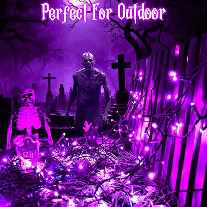 Purple Lights Halloween Lights String Total 100LED Battery Operated Outdoor 8 Modes with Timer 16.4Ft*2, 50LED*2 Waterproof Indoor for Halloween Decor, Purple, 2-Pack