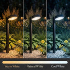 Warm White Solar Pathway Lights 8-Pack, Yard LED