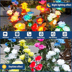 Solar Garden Path Lights 2-Pack, Waterproof