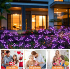 2-Pack Solar Pathway Lights, Waterproof LED Garden Lights
