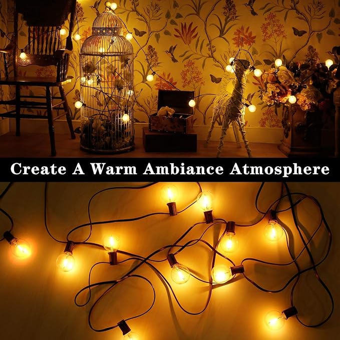 Outdoor String Lights, 50ft Black Waterproof LED