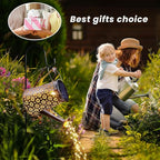 2-Pack Solar Path Lights, Outdoor Yard LED
