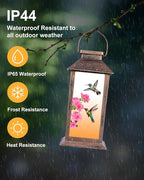 Solar Hummingbird Lanterns, Porch Hanging LED Decor