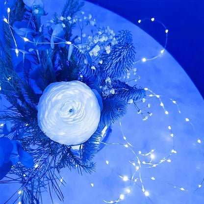 Christmas Fairy Lights 4-Pack, 20ft 60 LED Battery Twinkle Lights