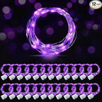 Christmas Backyard String Lights 24-Pack, 20 LED Waterproof