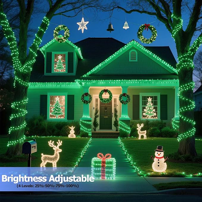 Tcamp 33ft 100LED Green Christmas Lights Battery Operated with Remote Memory Timer, 8 Modes Battery String Lights for Christmas Tree Wreath Bedroom Outdoor Indoor Decor