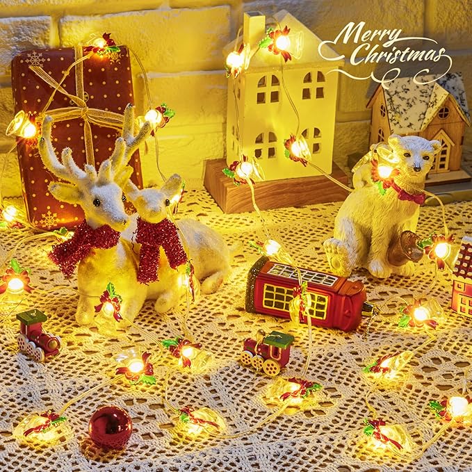 Christmas Patio String Lights, 10ft 30 LED Waterproof