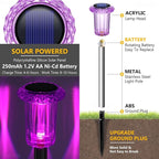 10-Pack Solar Path Lights, Outdoor Garden LED