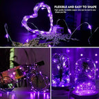 Christmas Backyard String Lights 24-Pack, 20 LED Waterproof