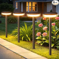Solar Garden Path Lights 6-Pack, Waterproof