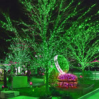Christmas Fairy Lights, 5ft 300 LED Battery Twinkle Lights